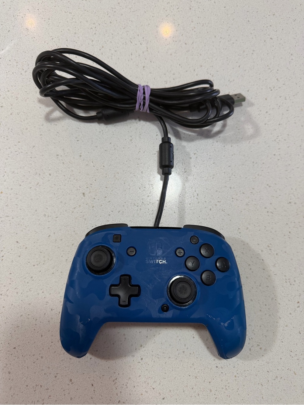Nintendo Blue Wired Pro-Style Switch Controller
